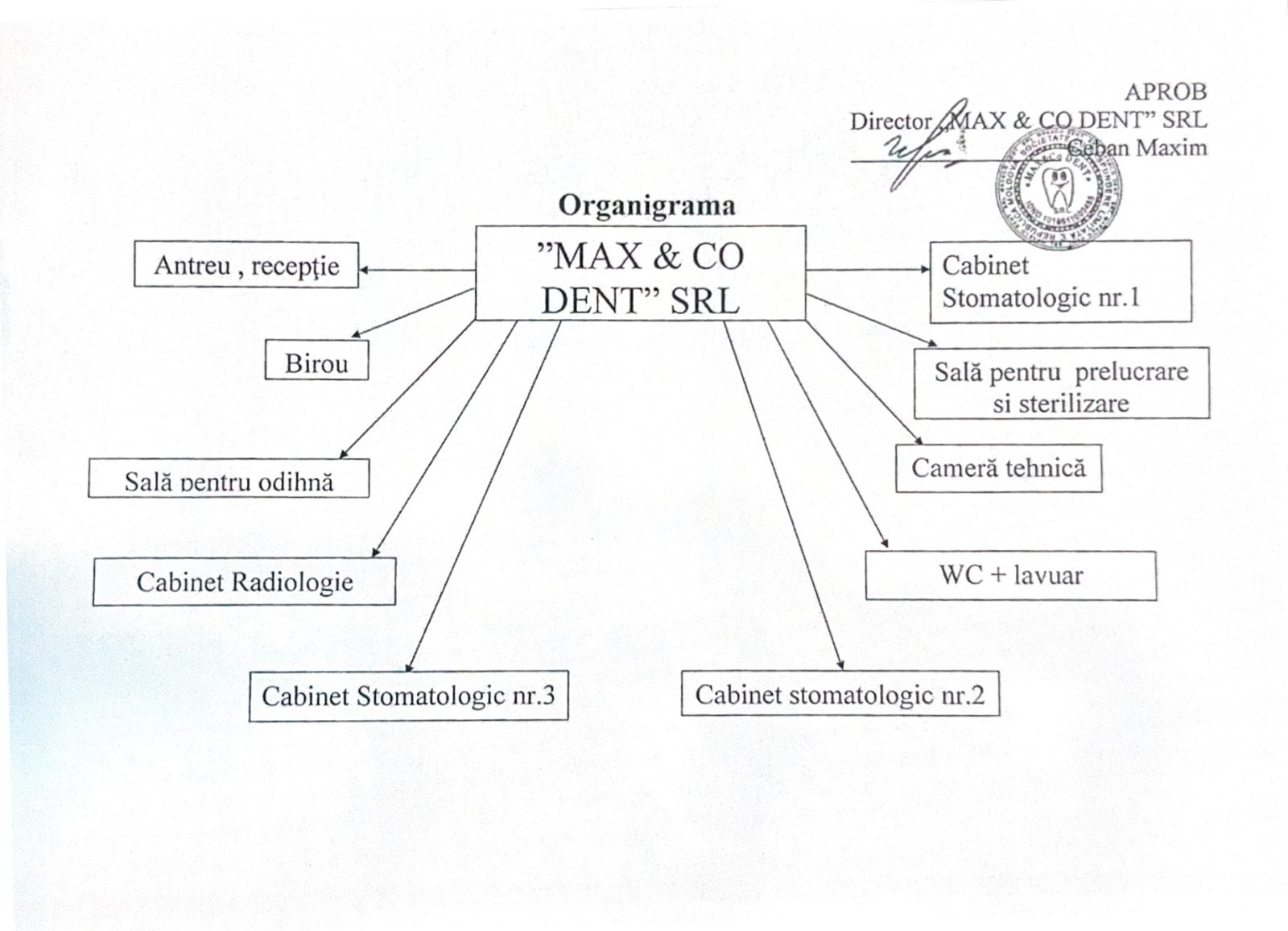 Organigrama clinicii „MAX & CO DENT” SRL